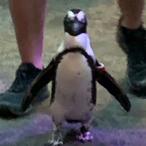 Meet your Posher, Damian